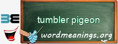 WordMeaning blackboard for tumbler pigeon